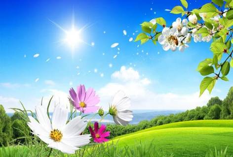 c:\users\administrator\appdata\roaming\360se6\User Data\temp\79I58PIC2qj.jpg